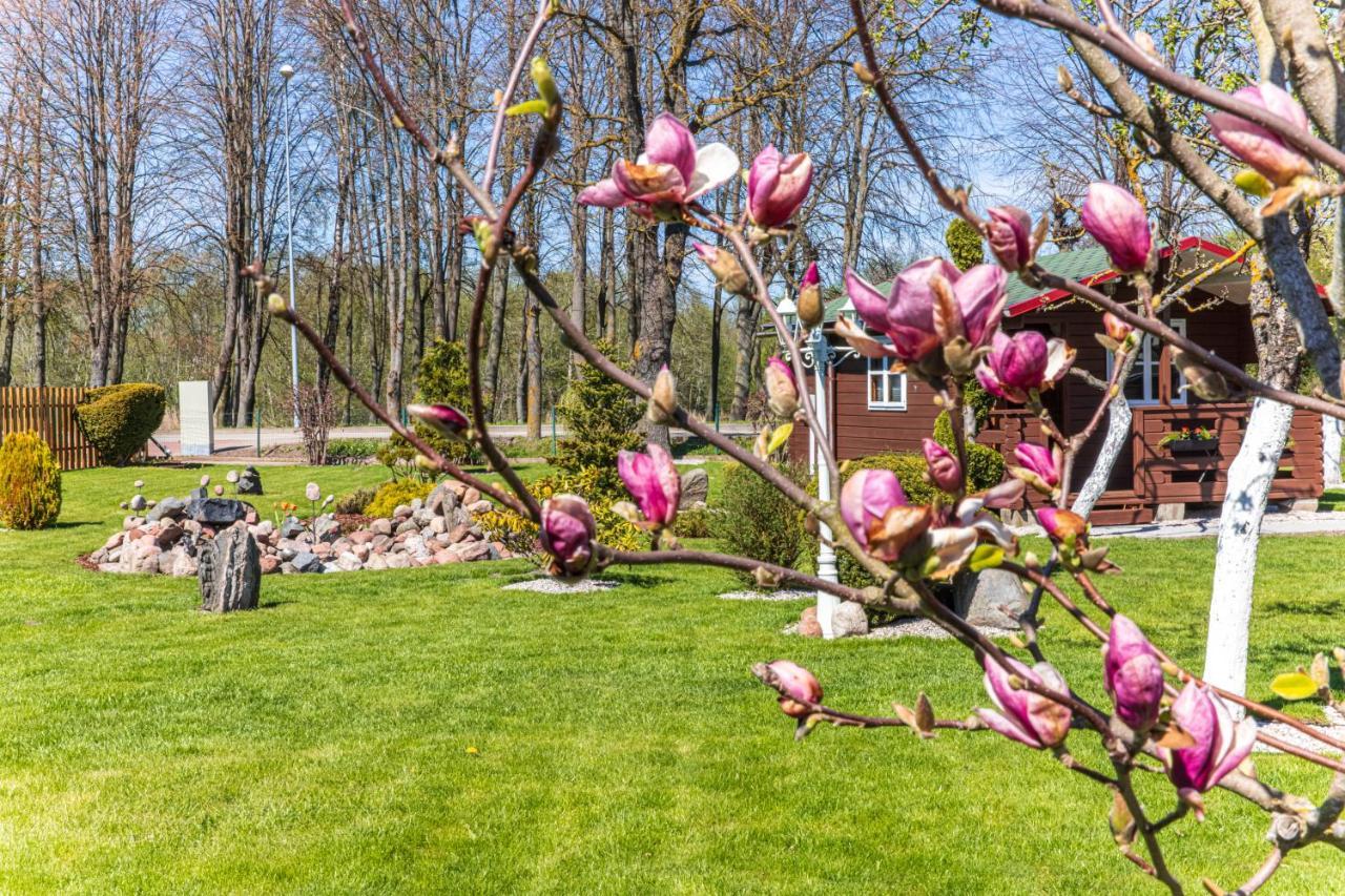 Zaliasis Kampas Nameliai Sventojoje Villa Šventoji Exterior foto